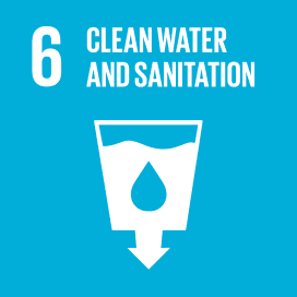 SDG 06